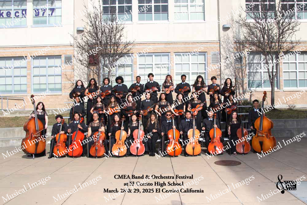 Musical Images